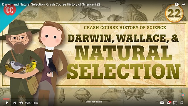 VIdeo of theroy of evolution