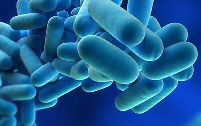 Enfermedad "los legionarios"