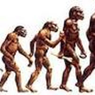 Timeline: La Antropología