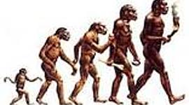 Timeline: La Antropología