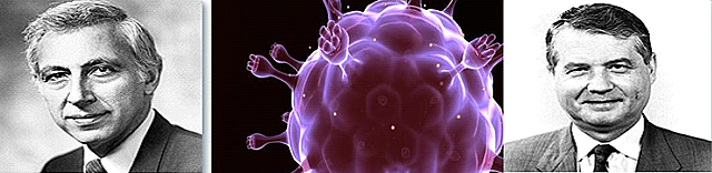 Se aísla el virus del SIDA