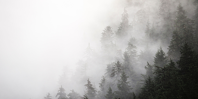 The Cold, dark fog cont.