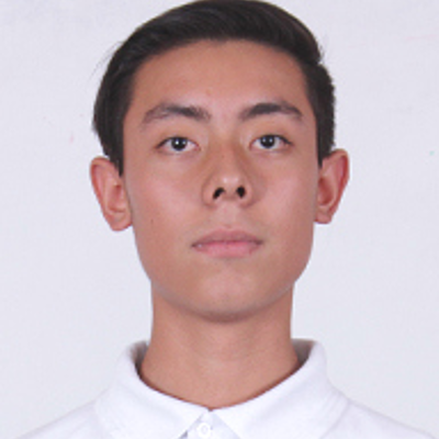 Timeline: Leonardo Torres Castro