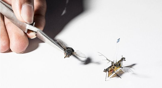 Micro-robot inspirer d'un insecte volant