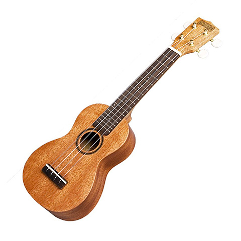 Vaig comencar ukelele