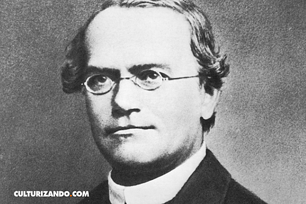 Las Leyes de Mendel