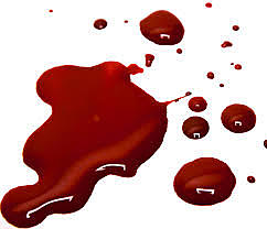 EM VAIG FER UN  TRAU