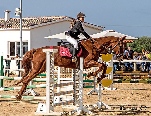 aprenc a saltar amb cavalls
