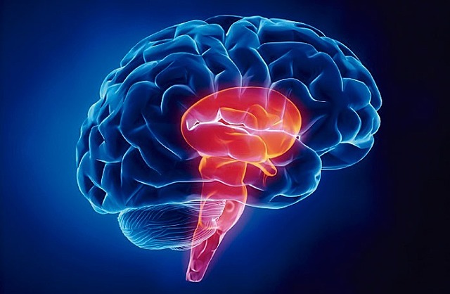 Començen els neuròlegs