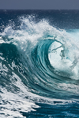 La temperatura del mar ha arribat a 26° a l'Estartit