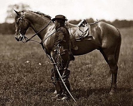 The Domestication of Horses