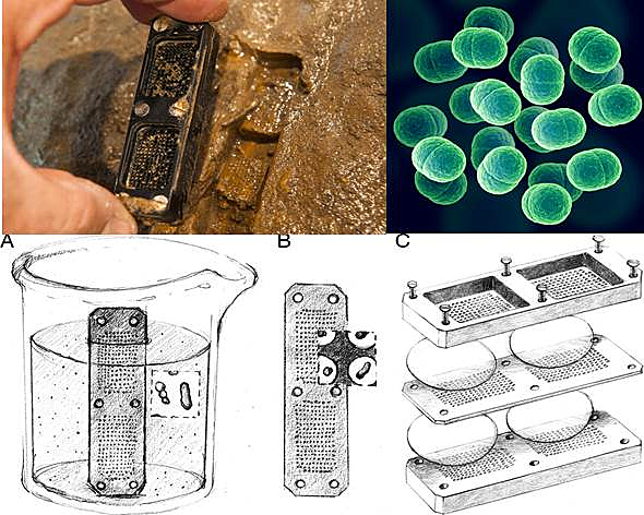 Desarrollo de chip de aislamiento