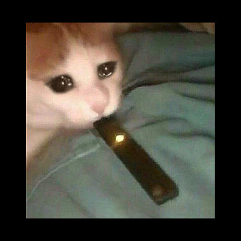 When the first hydrogen bomb was first tested