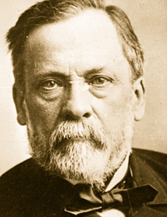 Germs identified as diseases.