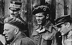 Alliert med Storbritannia