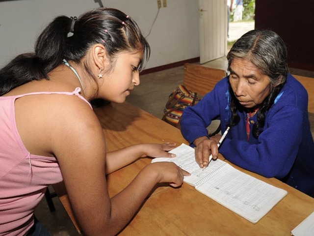 EDUCACION Aparece el Instituto de Educación para los Adultos (INEA)