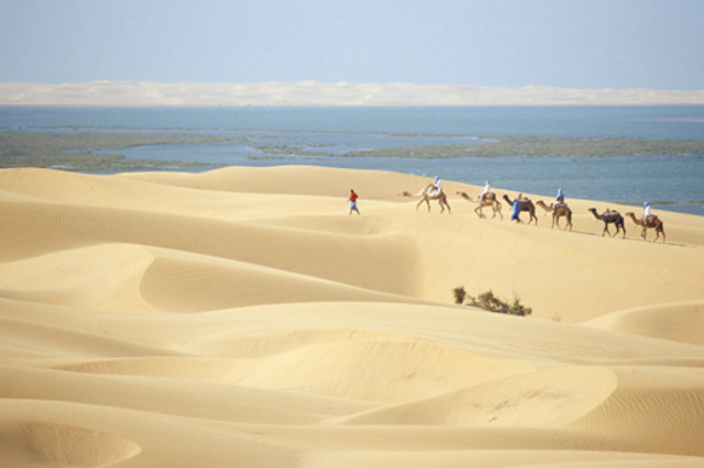 Saharan West Desert
