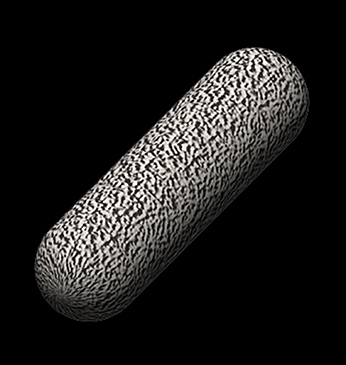 Eobakter - varased fossiilsed bakterid