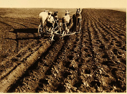 1926  The First National  Livestock  Judging Contest.