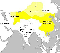 The Tang dynasty begins in China