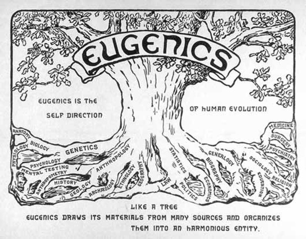 The eugenics movement is popular, fueling racist sentiment and leading to involuntary sterilization laws.