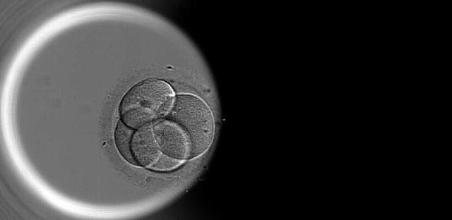 Embryonic Stem Cells created from Skin Cells