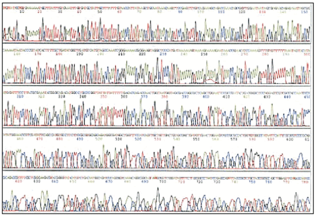 Automated sequencing technology allows genome projects to accelerate.