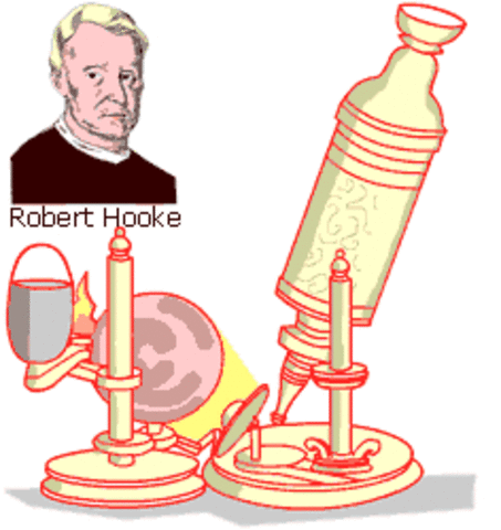 Robert Hooke