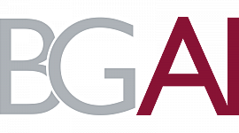 Timeline: Organizador Gráfico: BGAI