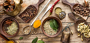 Aryuveda "Sistema más antiguo de curación"