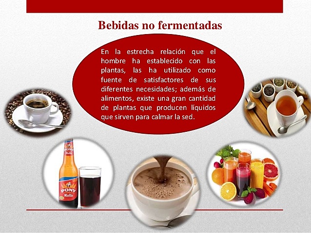 Alimentos fermentados
