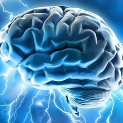 Timeline: ¿DE DONDE VIENE Y PARA DONDE VA EL CEREBRO?