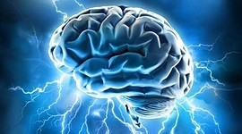 Timeline: ¿DE DONDE VIENE Y PARA DONDE VA EL CEREBRO?