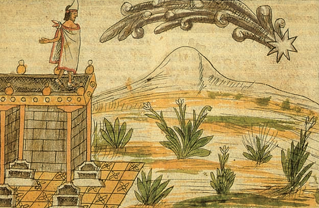 Señales y Prognosticos