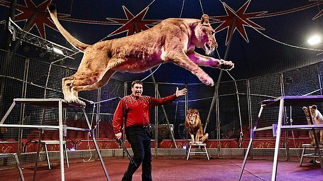 Lennon Bros Circus