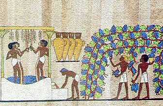 El vino y Egipto
