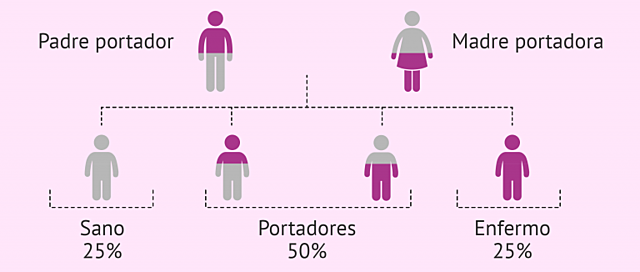 Enfermedades y herencia