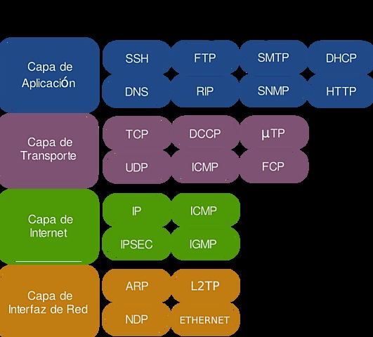 TCP/IP protocols