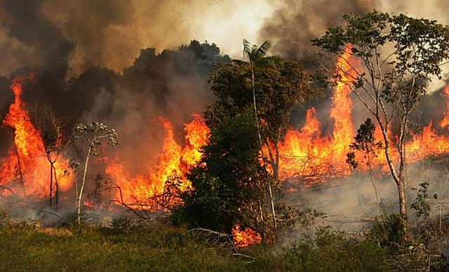Amazonas (Climàtic)