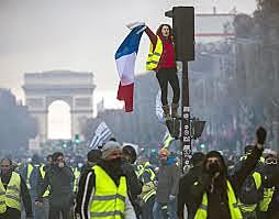 Les armilles grogues (Social)