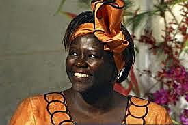 Wangari Maathai Dies