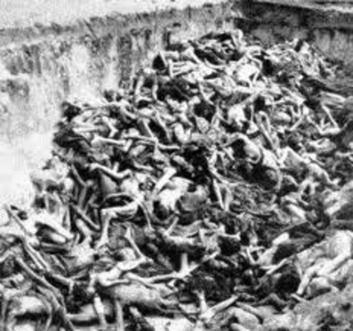 Mobile killing squads, the Einsatzgruppen, murdered 34,000 Jews at one time.