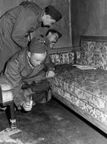 Hitler Commited suicide