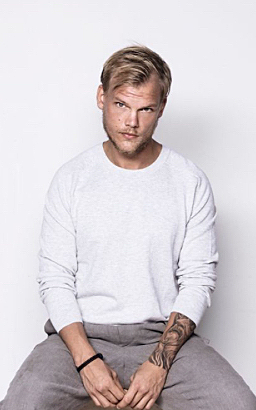 Mort de Avicii (fet cultura)