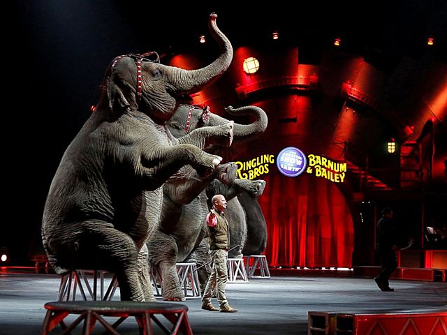 Ringling Bros. and Barnum & Bailey Circus