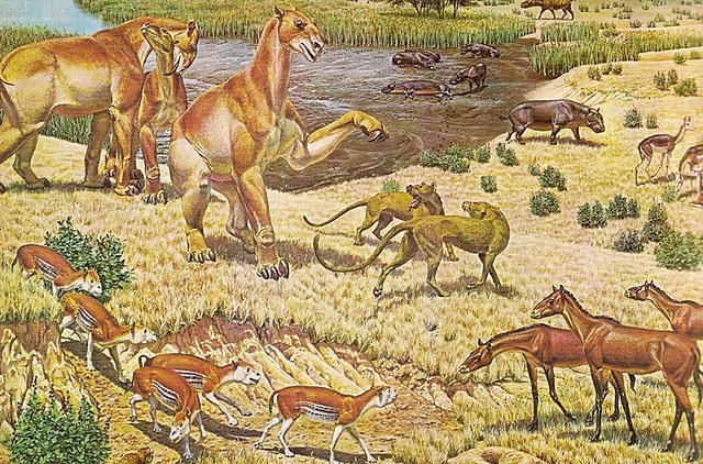 Fanerosoikum: Neogeen