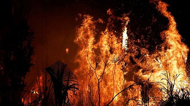 Incendi Amazonas