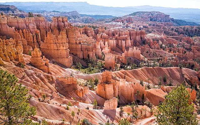 viatge a els parcs naturals d'estats units