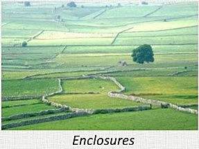 ELS BENEFICIS DELS ENCLOUSURES