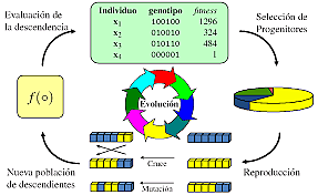 Algoritmo genético